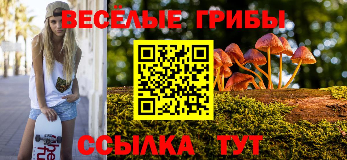 Псилоцибиновые грибы GOLDEN TEACHER Кингисепп