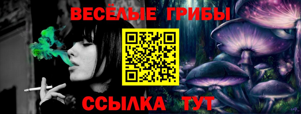сколько стоит  Вход с VPN  Кингисепп  Псилоцибиновые грибы мухоморы 